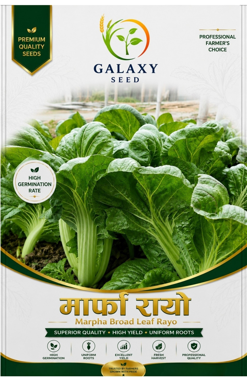 Marpha Rayo – Broad Leaf Mustard Seed for Nepal